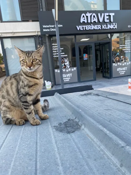 Niğde ATAVET Veteriner Kliniği foto 2
