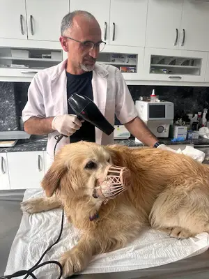 Altınova Veteriner Kliniği