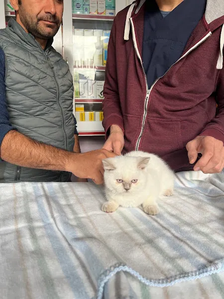 Empati Veteriner Kliniği foto 2