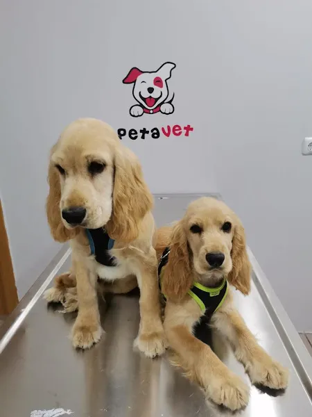 PetaVet Veteriner kliniği foto 2