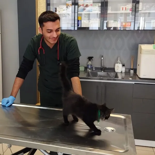Vetcom Kayseri Veteriner Kliniği foto 1