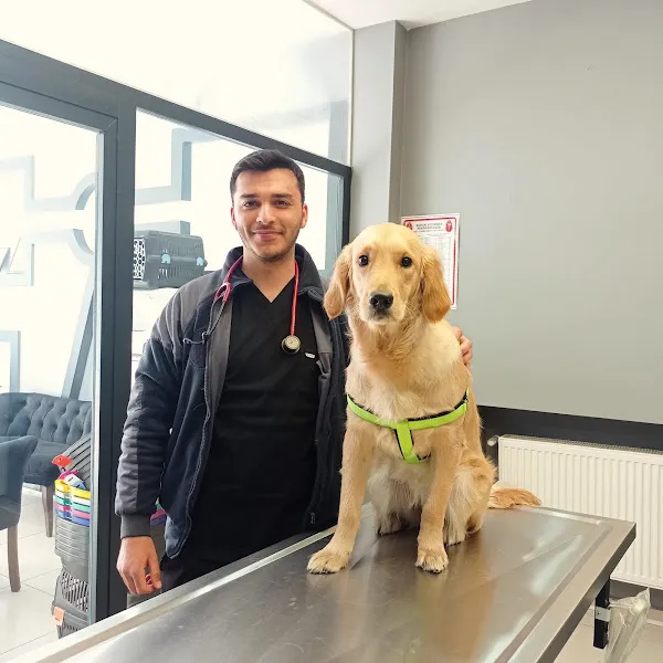 Vetcom Kayseri Veteriner Kliniği foto 2