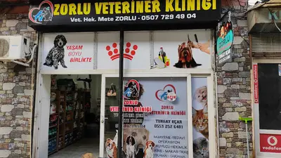 Zorlu Veteriner Kliniği | Milas 7/24 Acil Veteriner