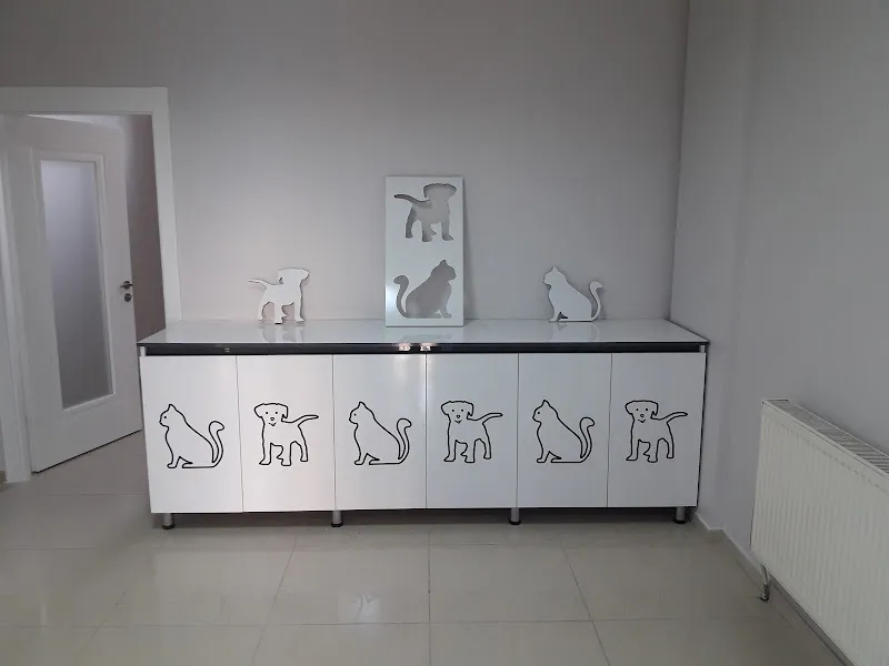 Pati Veteriner Kliniği foto 1