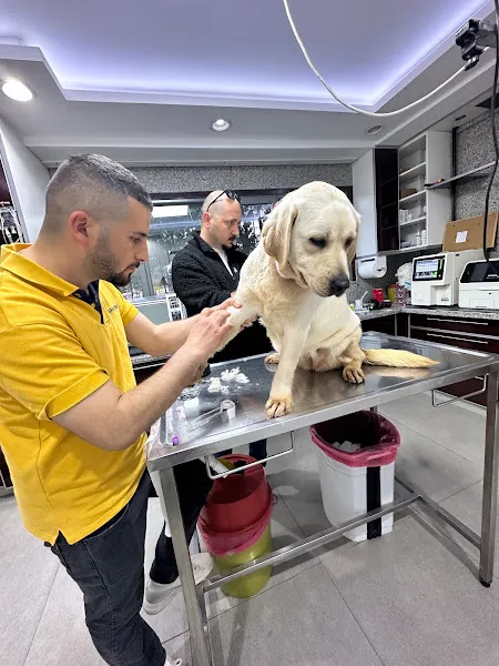 UZMAN VETERİNER KLİNİĞİ Vet. Hek. Mehmet Emre KÖSE foto 2