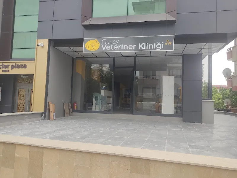 Güney veteriner kliniği foto 1