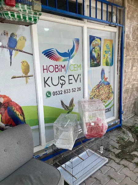 Hobimcem Kuş Evi - Muhabbet Kuşu & Sultan Papağanı Üretim Merkezi foto 1