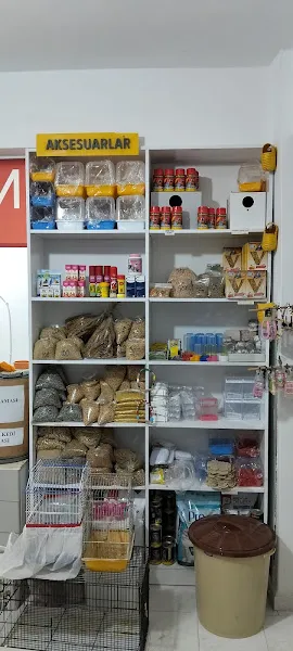 Hobimcem Kuş Evi - Muhabbet Kuşu & Sultan Papağanı Üretim Merkezi foto 2