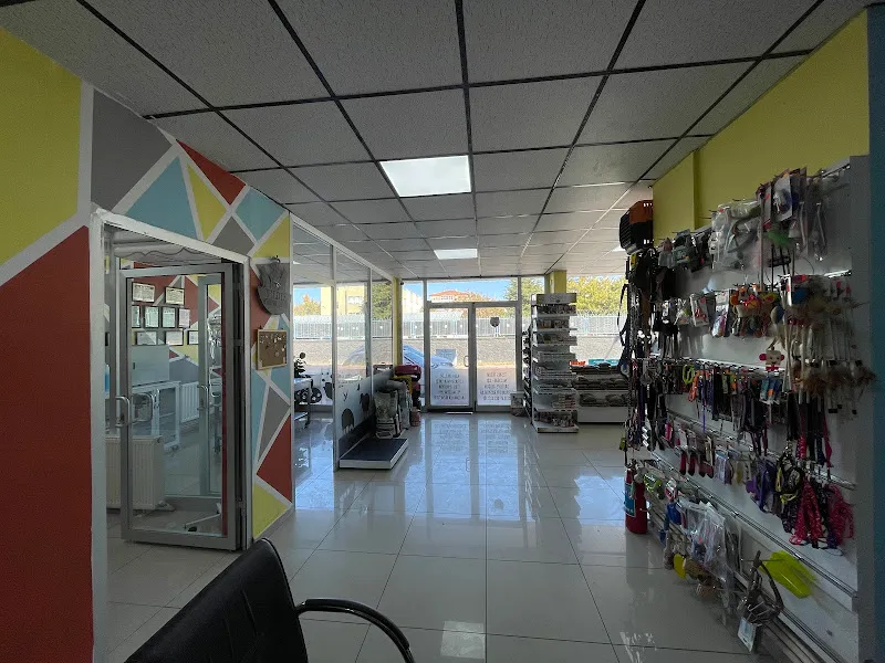 YILDIZ VETERİNER KLİNİĞİ foto 2