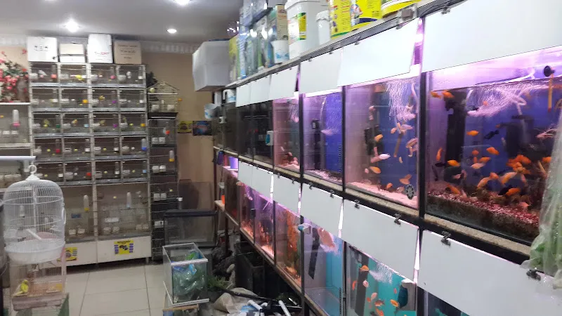 Boncuk Akvaryum Petshop trabzon foto 1