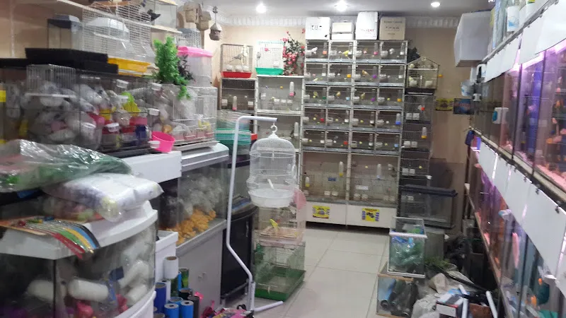 Boncuk Akvaryum Petshop trabzon foto 2