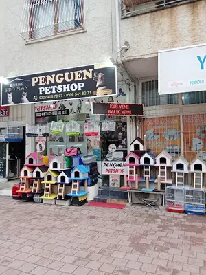 Penguen Pet Shop
