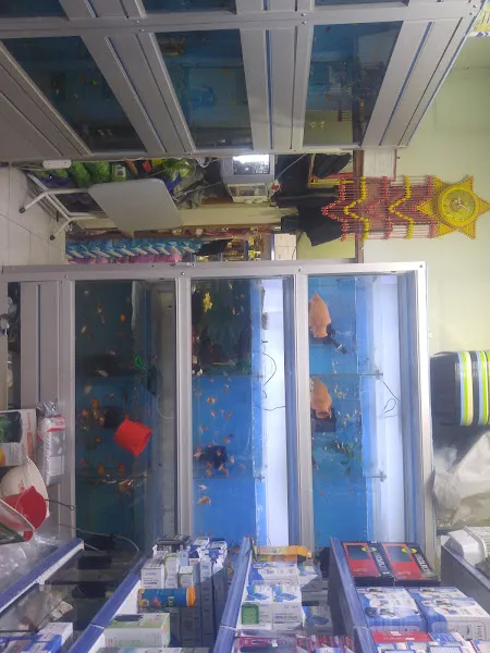Küçükyalı Petshop foto 2
