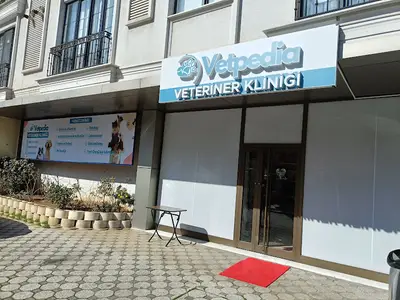Vetpedia Sultanbeyli Veteriner Kliniği - Kedi, Köpek, Kuş ve Egzotik Hayvan Veterineri