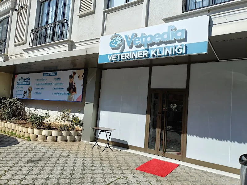 Vetpedia Sultanbeyli Veteriner Kliniği - Kedi, Köpek, Kuş ve Egzotik Hayvan Veterineri foto 1
