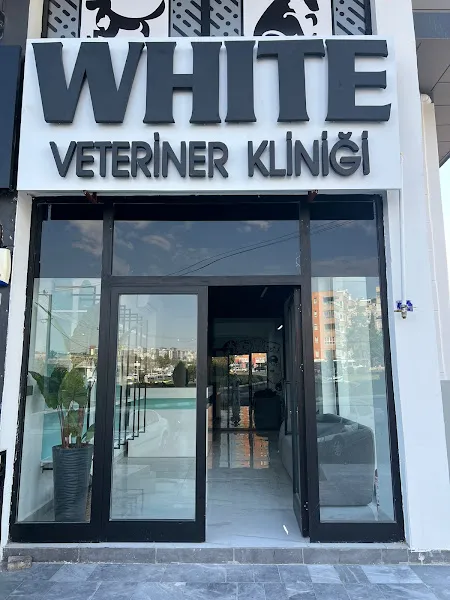 WHİTE VETERİNER KLİNİĞİ foto 1