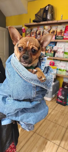 Taco Veteriner Kliniği foto 2