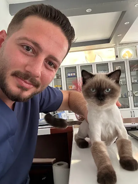 ÇELİK VETERİNER KLİNİĞİ foto 2