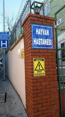 Hayvan Hastanesi