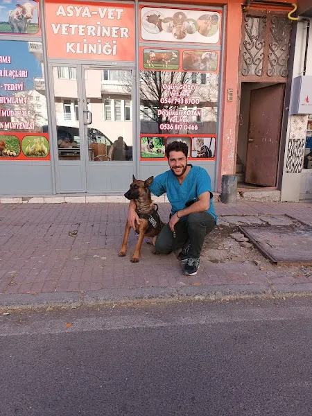 Asya-vet veteriner kliniği foto 2