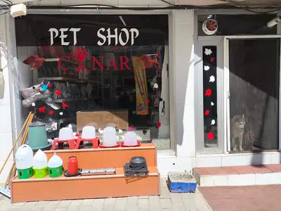 Oltu Çınar Petshop