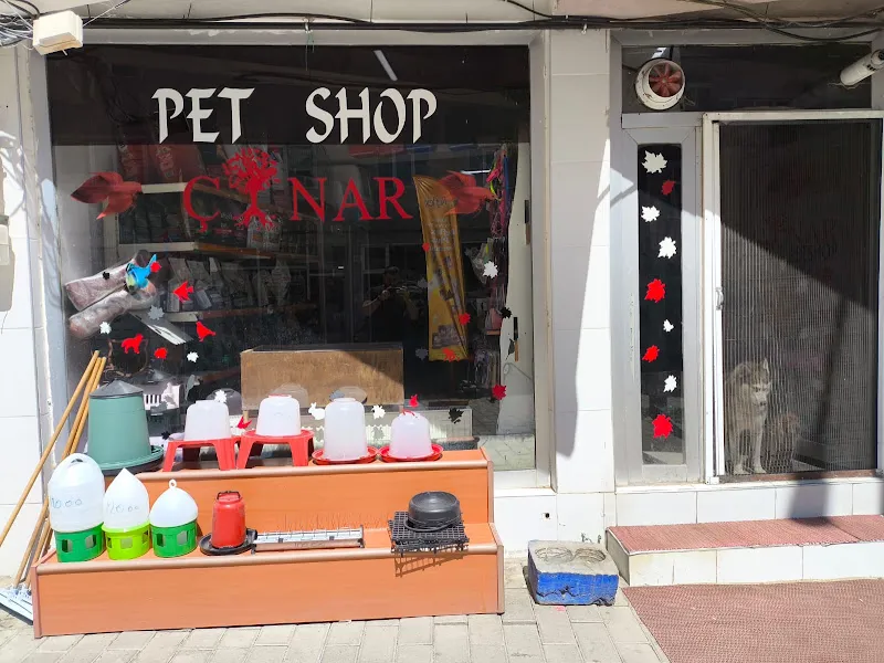 Oltu Çınar Petshop foto 1