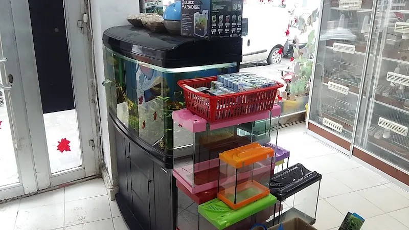 Oltu Çınar Petshop foto 2