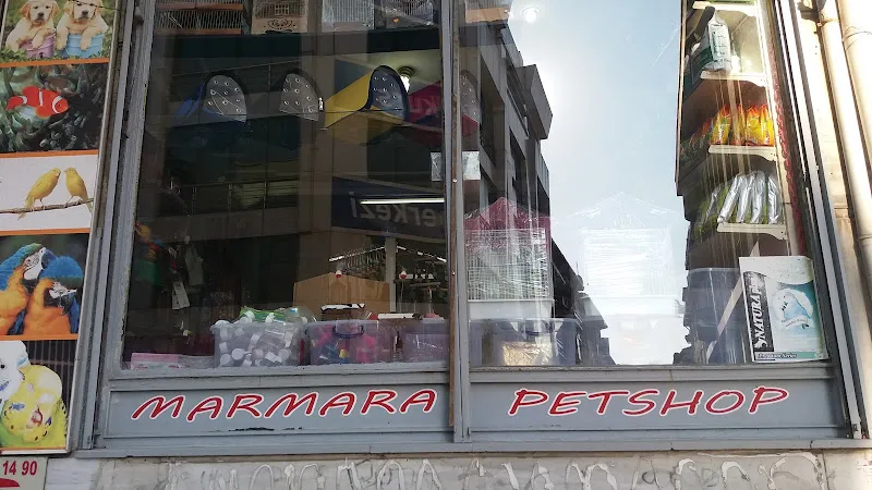 maximama foto 1