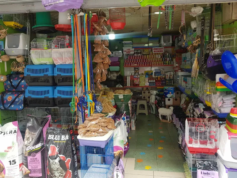 Emir Petshop 2 foto 2