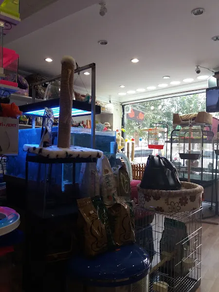 Suser Petshop foto 2