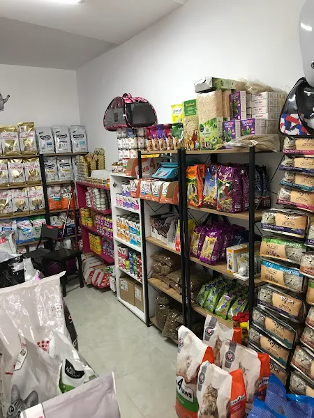Ayı petshop foto 2