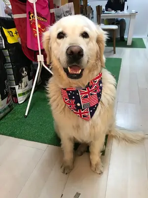 Trakya Köpek eğitim merkezi fotoğrafı