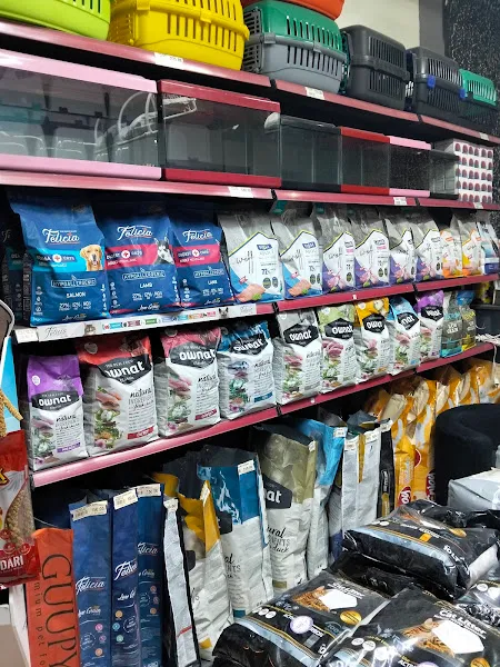 PET CENTER foto 1