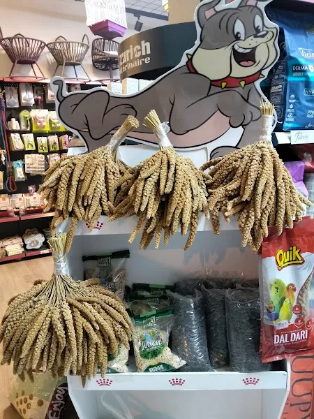 PET CENTER foto 2