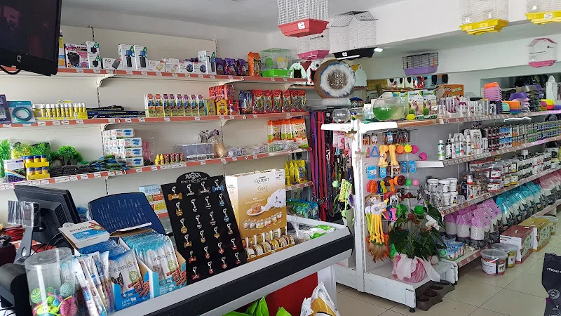 Queen Pet Shop& Petkuaför foto 2