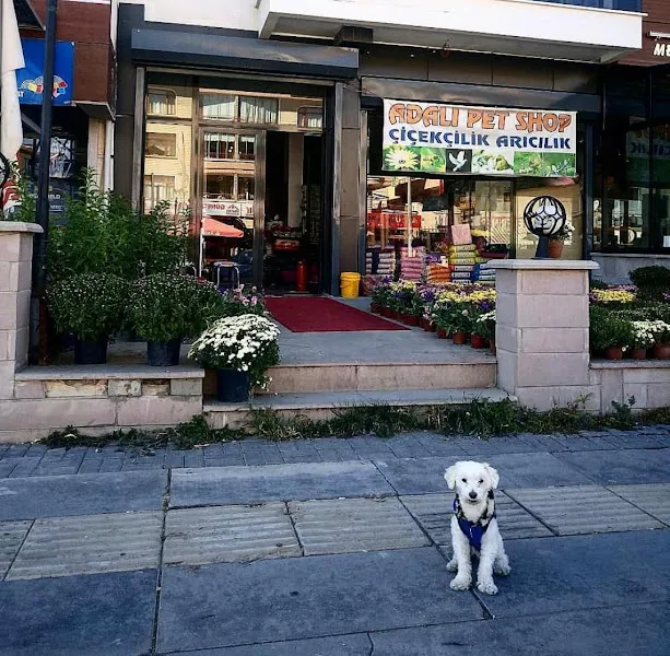 Adalı Pet Shop foto 1