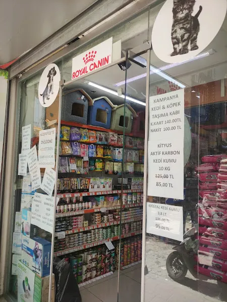 My's Akvaryum Petshop foto 2