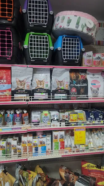 Acar Petshop ✅️ foto 2
