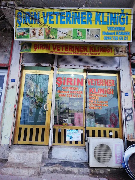 Veteriner Hekim Aslan Kodan foto 2