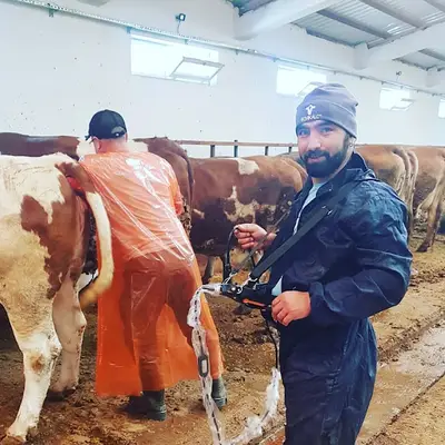 Pülümür Veteriner Kliniği