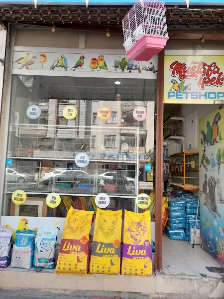 Mustafa İpek Petshop foto 1