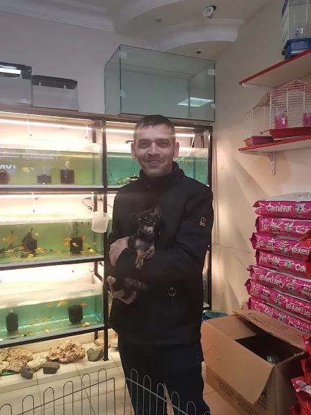 Animali Pet Shop foto 2