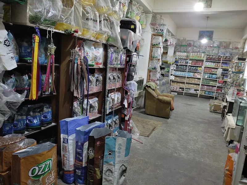 Gülpınar Petshop Akvaryum ve Kuş Galerisi foto 2