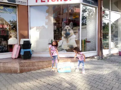 Aydeniz Petshop