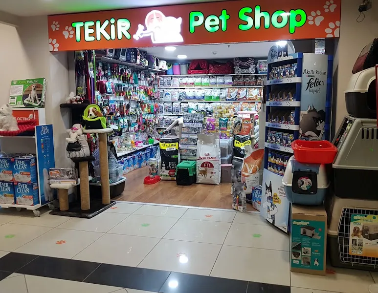 tekirdağ tekir petshop 2 foto 2