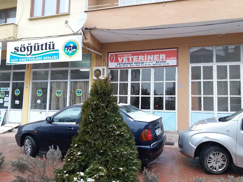 Özel Söğütlü Veteriner Kliniği foto 2