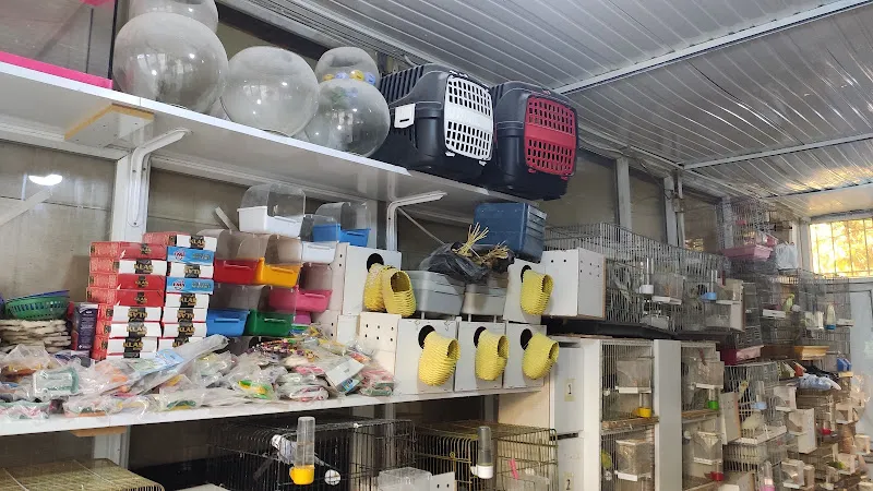 Meva Kuş Evi & Petshop foto 2