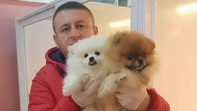 Petmahal Petshop
