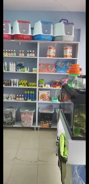 AKVARYUM DÜNYASI foto 1