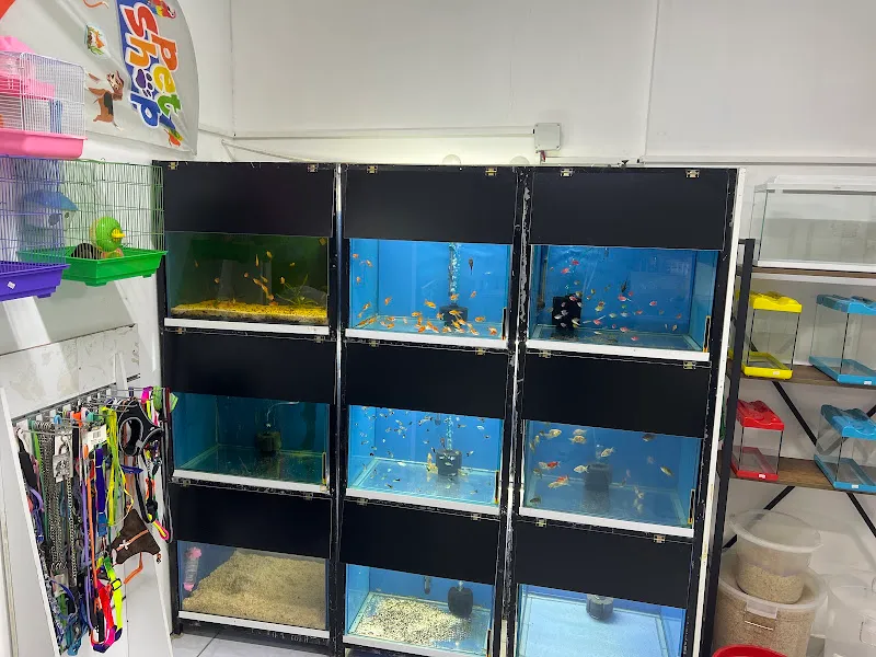 Boldy Petshop foto 2